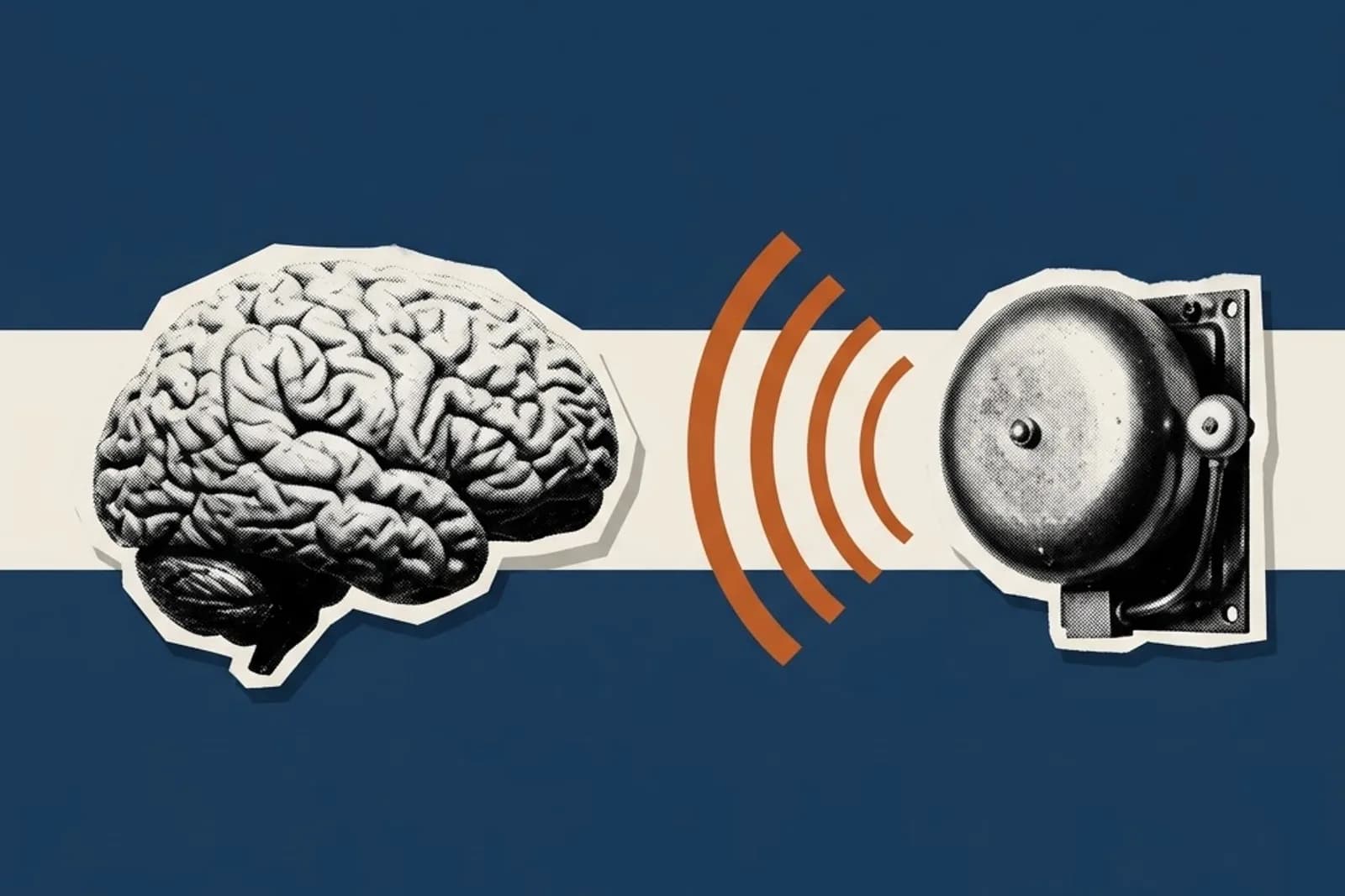 Imagen de portada del artículo: El cerebro ante el trauma: la neurobiología de la supervivencia