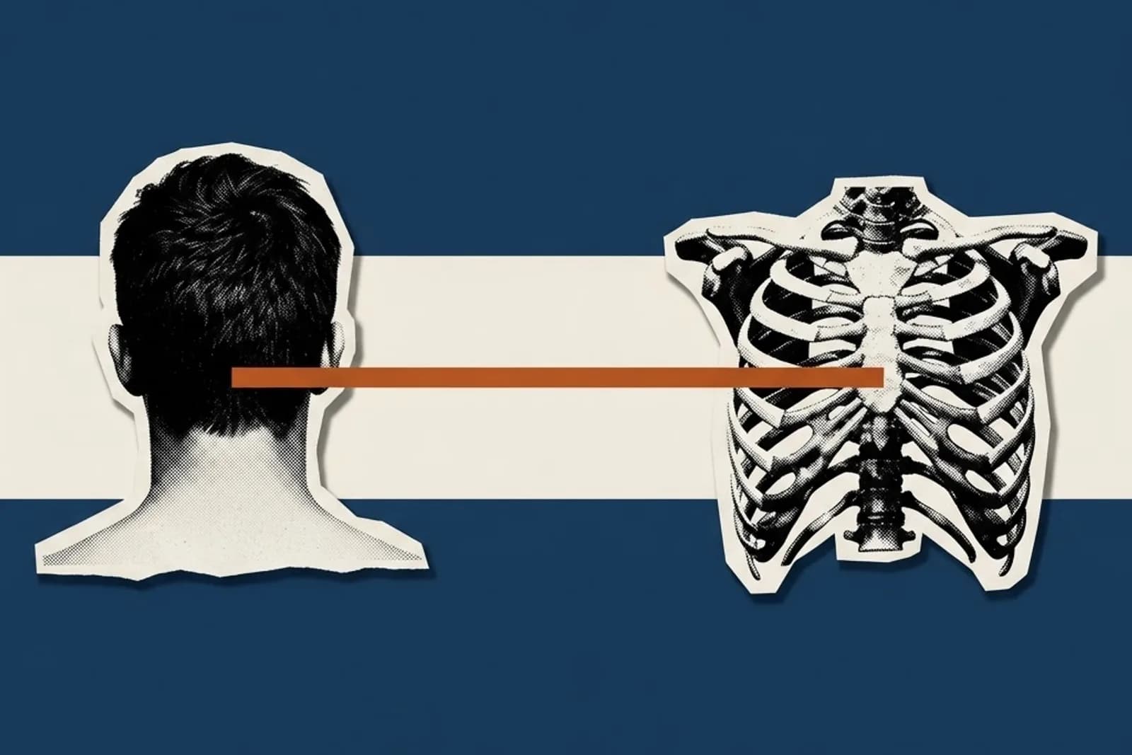 Imagen de portada del artículo: La salud mental no es mental