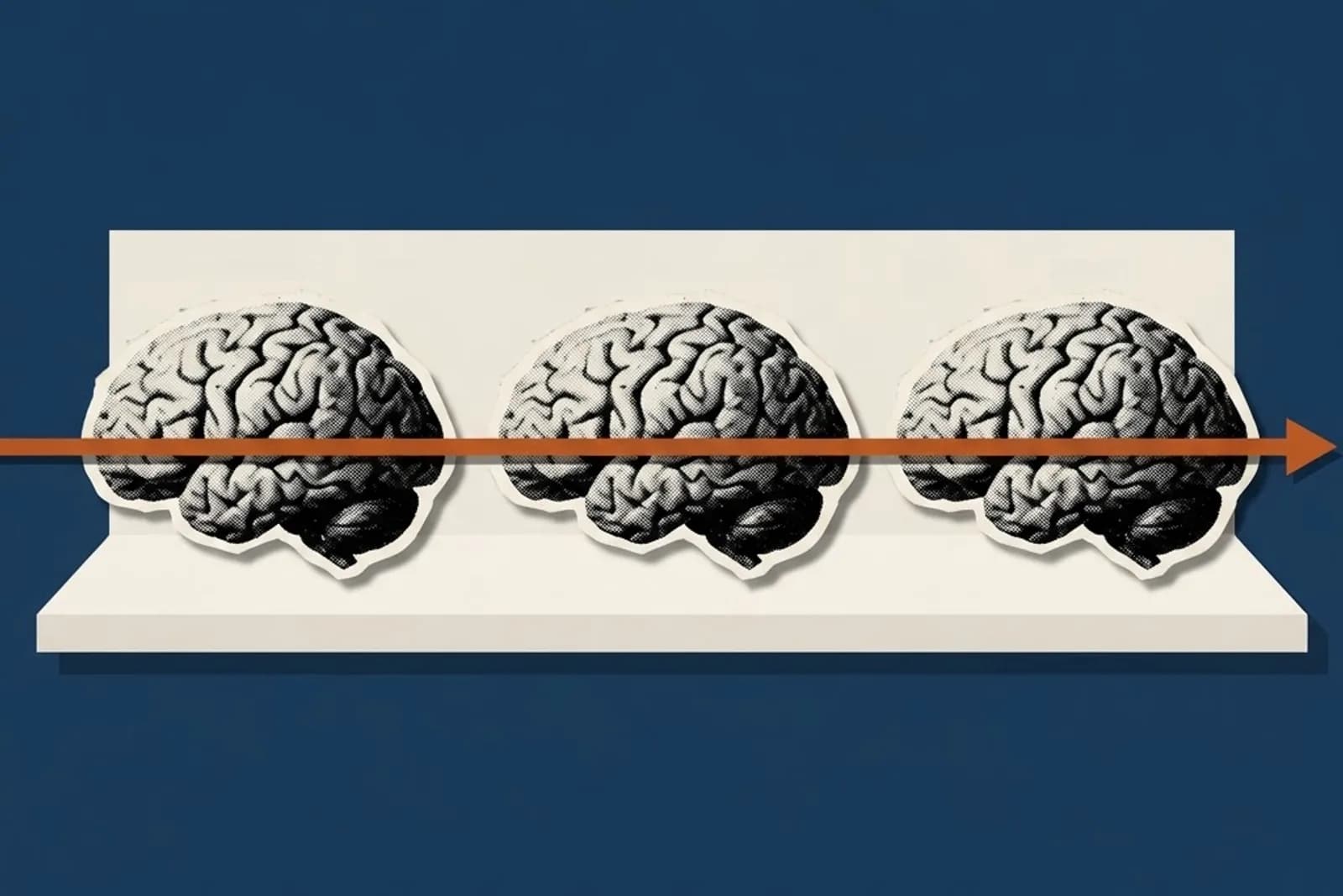 Portada de la serie Trauma y neurociencia